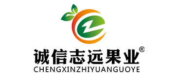 chengxinzhiyuan.png